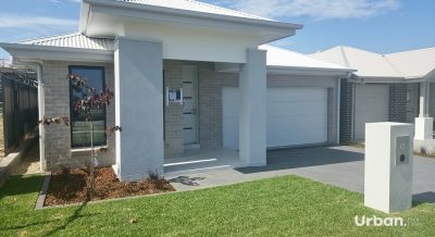 Catherine Field Lot 6220, Whitrod Avenue