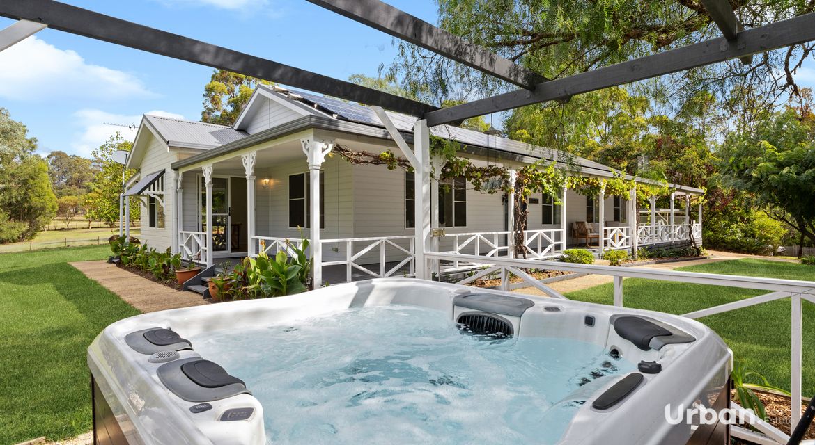 Bellbird 89b Edden Street