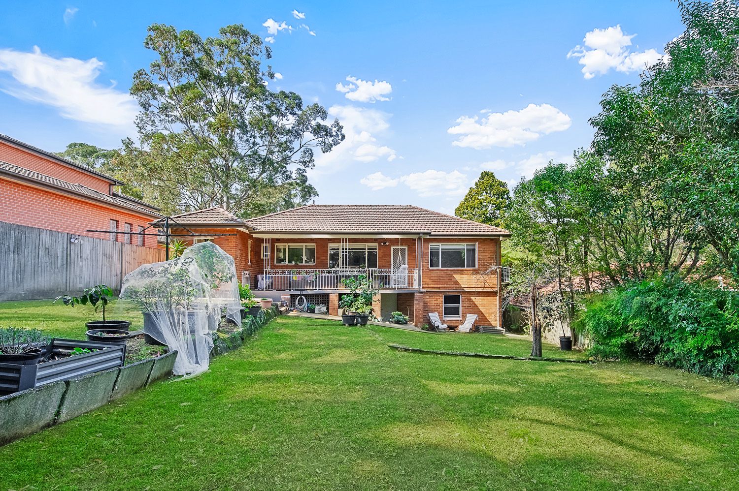 4 Nelson Street, Thornleigh, Thornleigh - Thumbnail 3