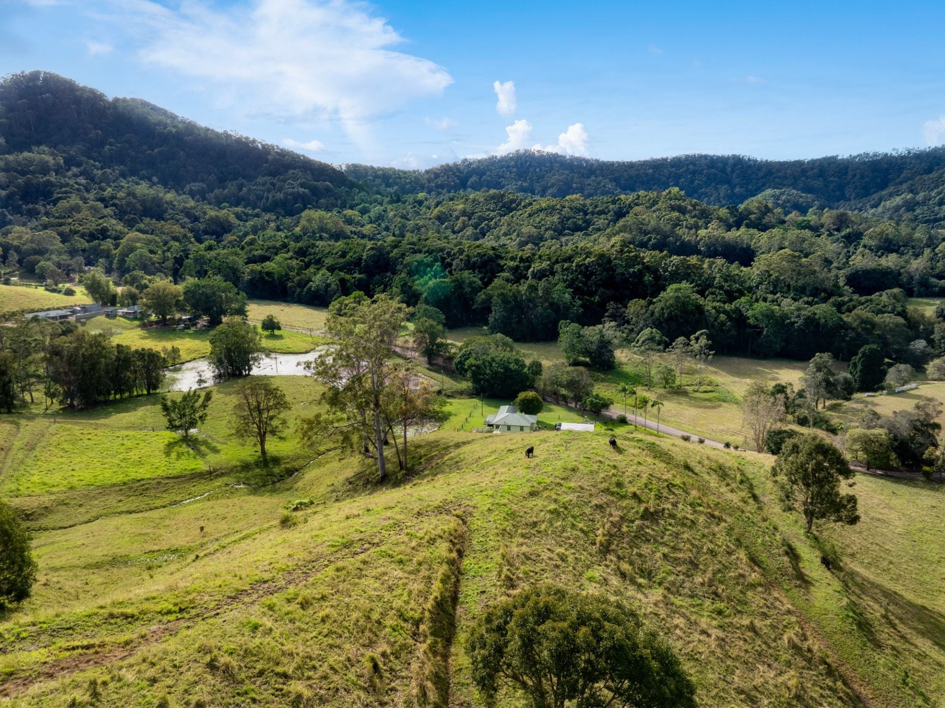 81 Harwood Road, Burringbar - Thumbnail 2