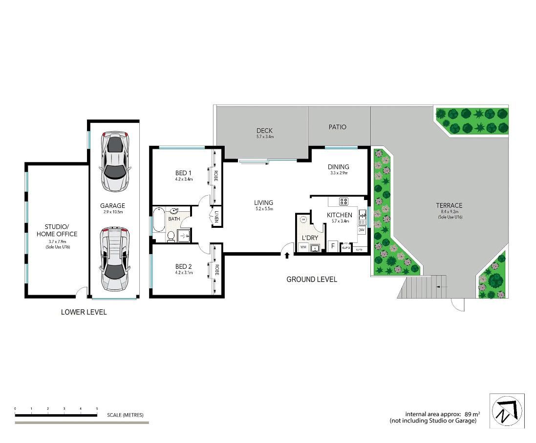 House-like proportions
