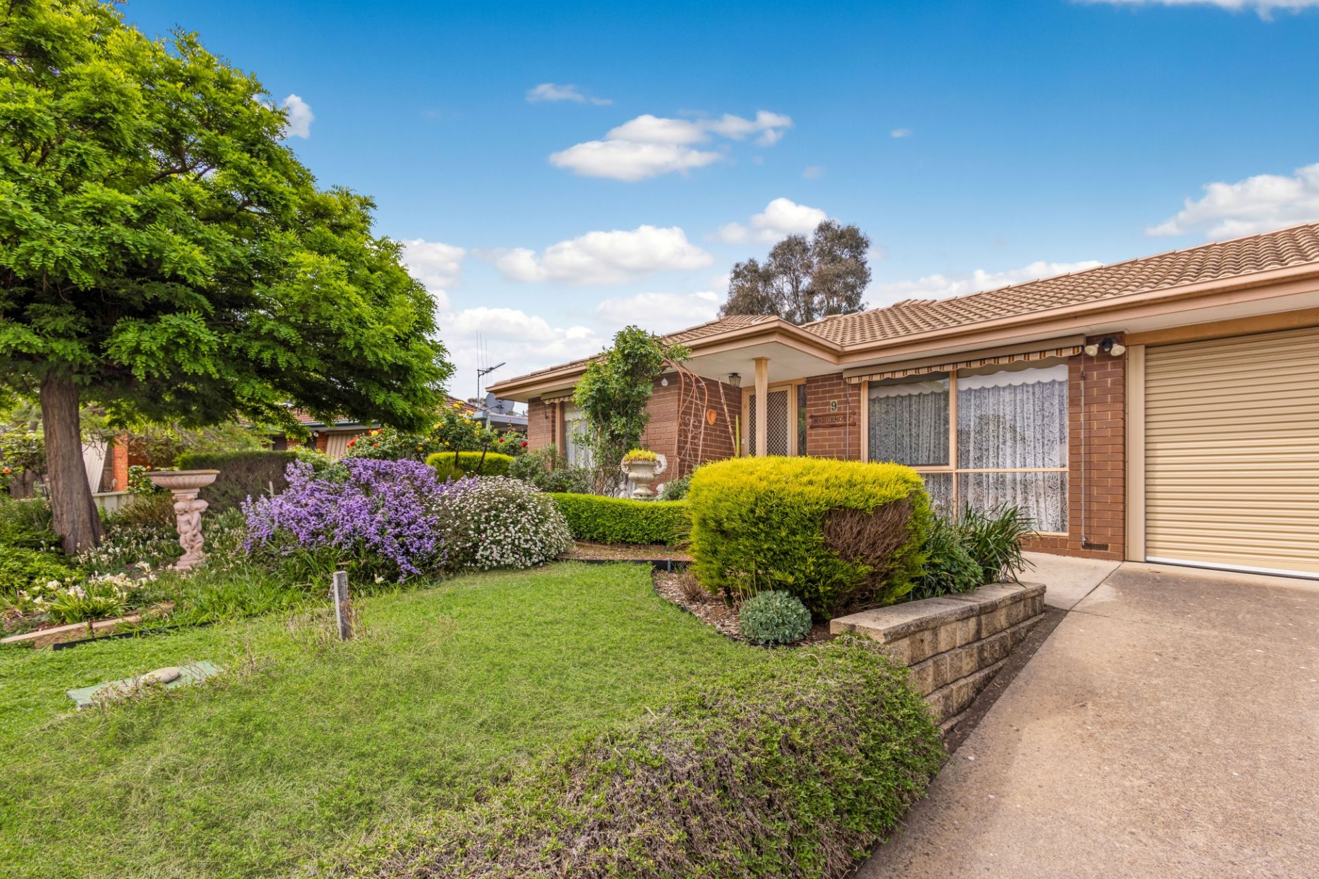 9 Windsor Court, Kangaroo Flat, Kangaroo Flat, Kangaroo Flat - Thumbnail 4