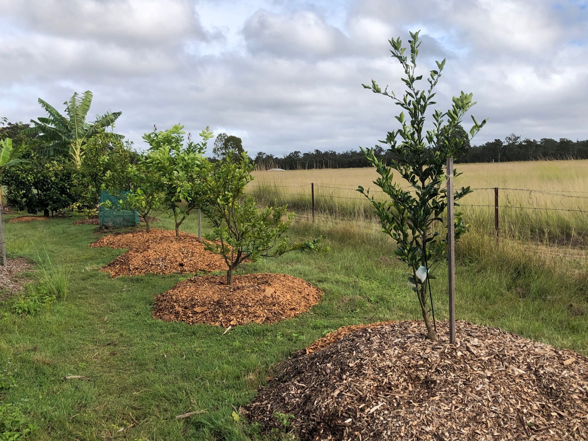 84 Gordon Earl Drive, Millstream For Sale by Farmbuy.com - image 29