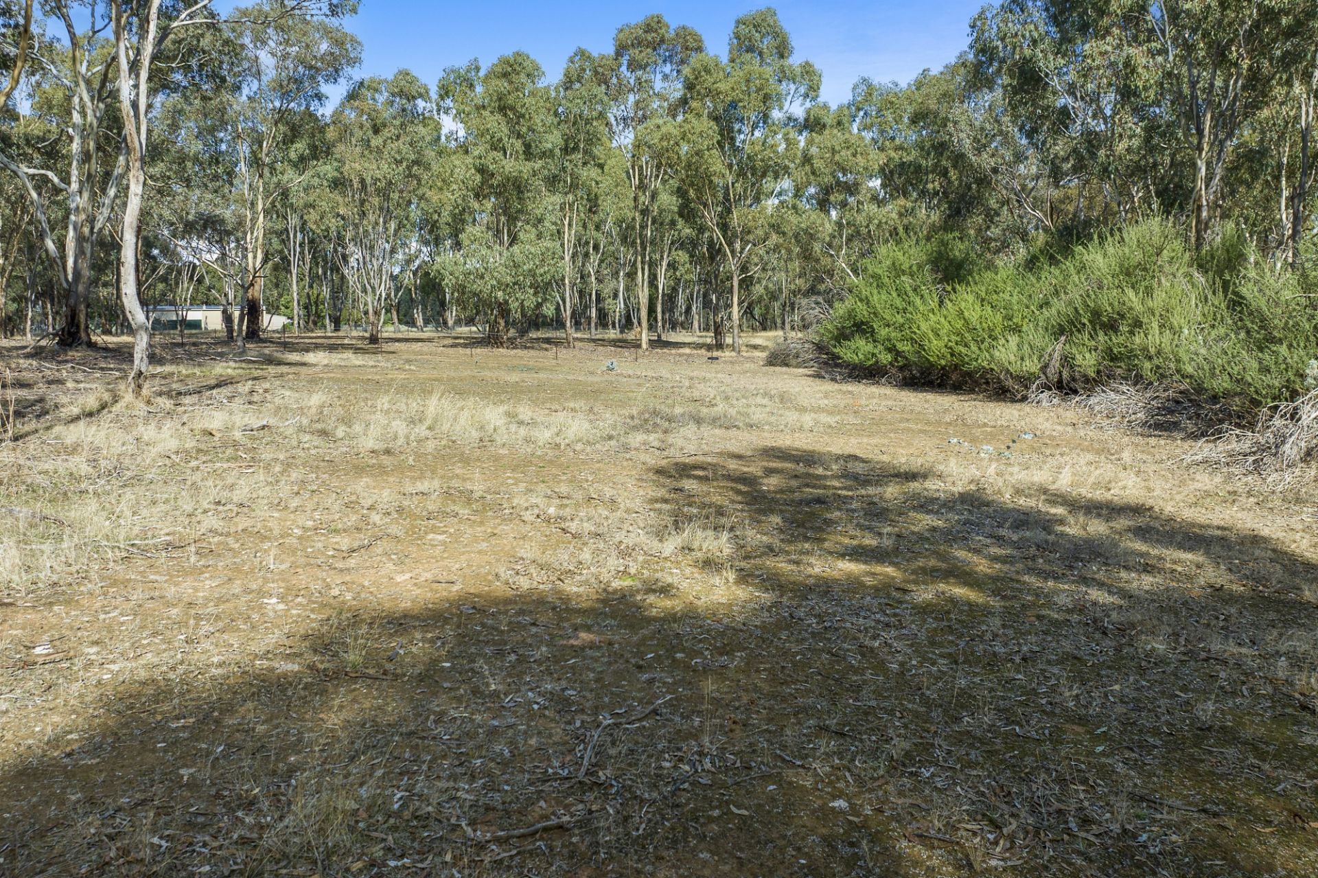 465 Dunolly-Moliagul Road, Dunolly - Thumbnail 3