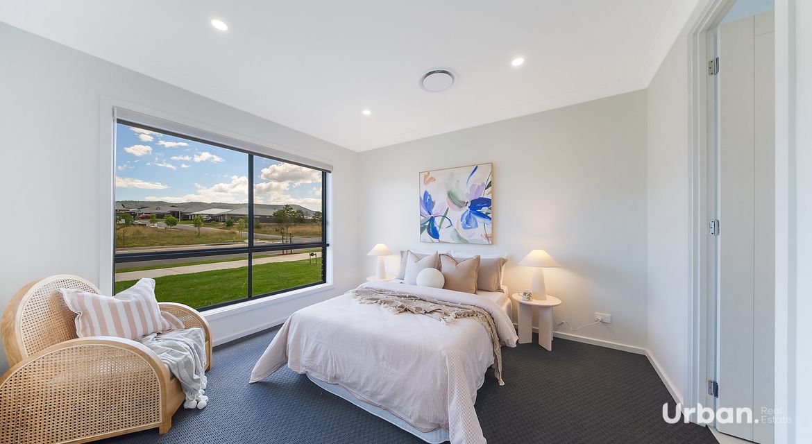 Bellbird 68 Abbotsford Street