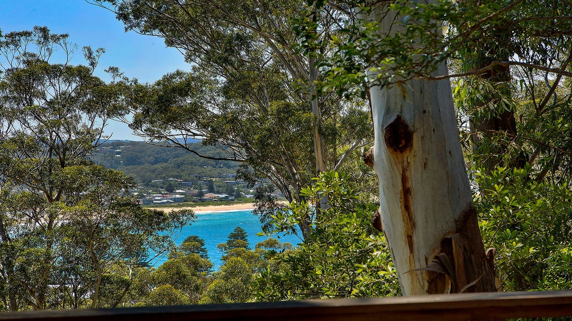 41 Arden Avenue, Avoca Beach, Avoca Beach - Image 1