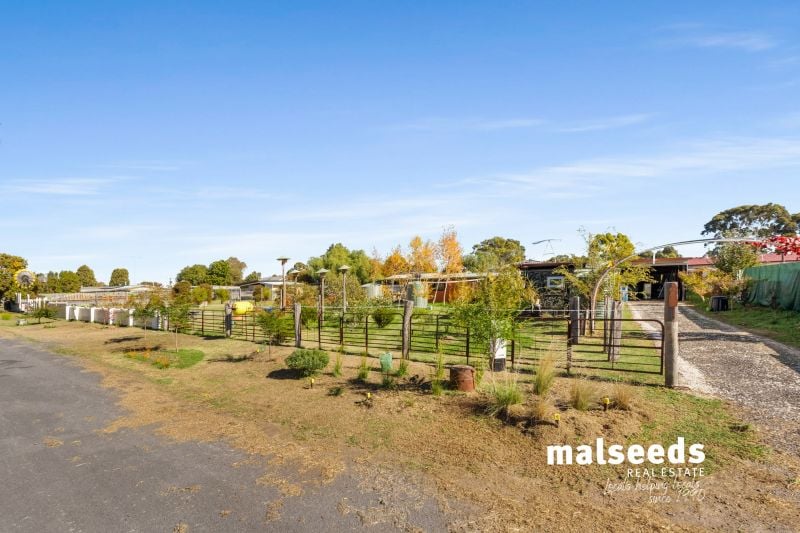 18-22 Shanks Street Penola SA, Penola - Thumbnail 4