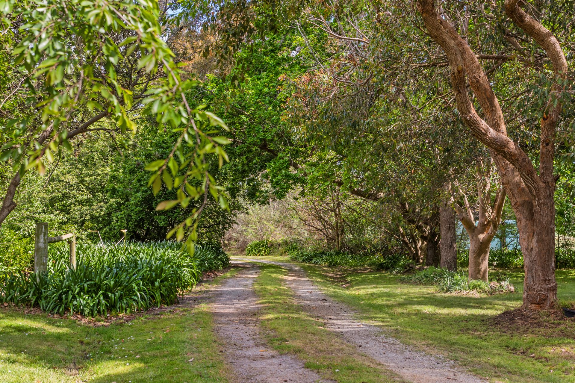 259 Myers Road, Balnarring, Balnarring - Thumbnail 2