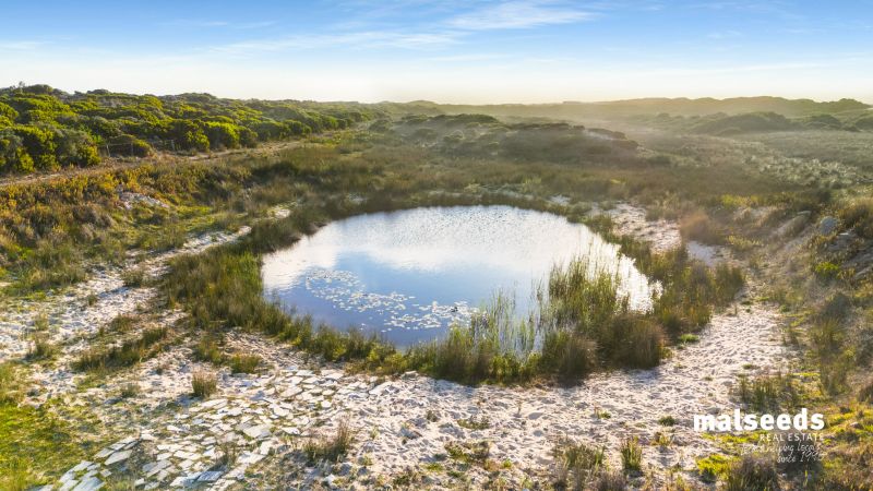 137 Paradise Road Wye SA, Wye - Thumbnail 7