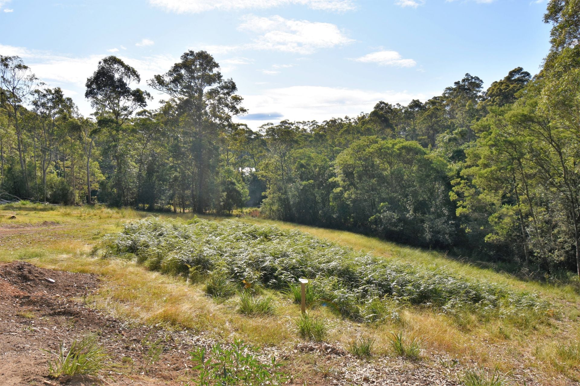 3 Black Marlin Drive Bermagui NSW