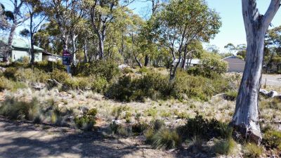 7 Trout Crescent, Miena, Miena - Thumbnail 3