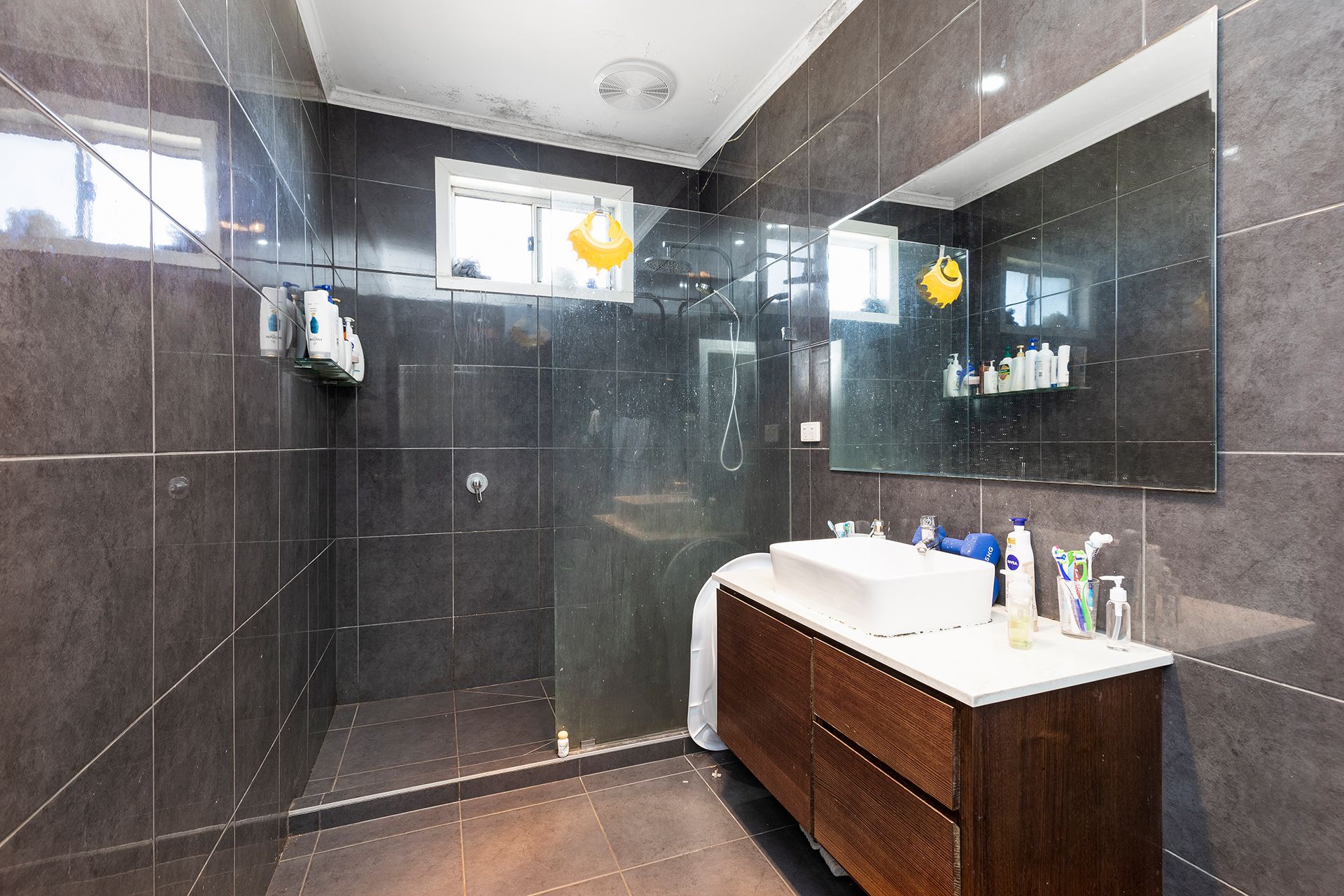 43 Erica Avenue, St Albans - Thumbnail 5