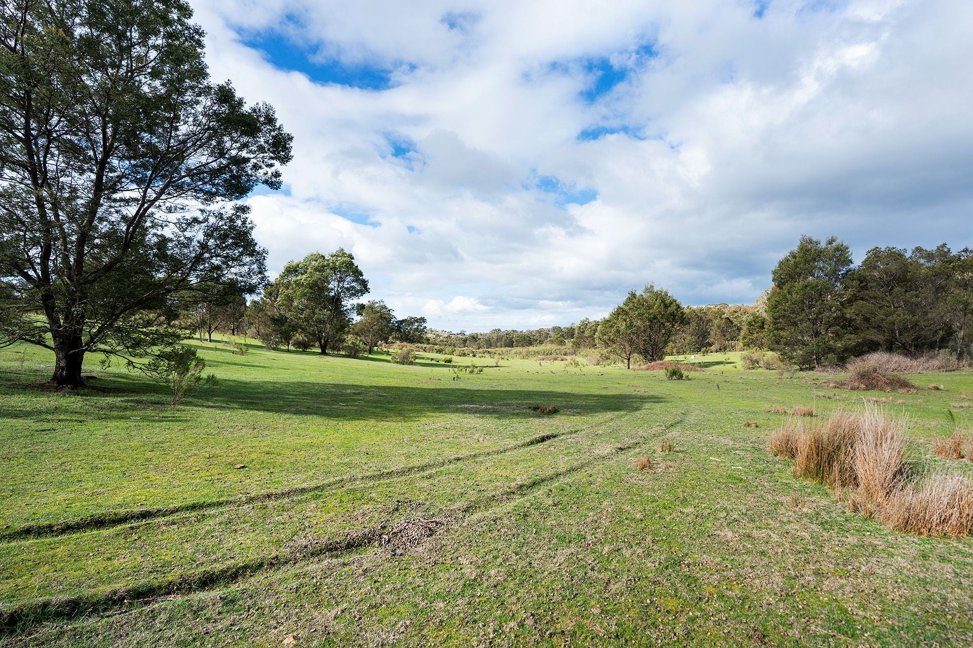 130 Cypress Drive, Elphinstone - Thumbnail 6