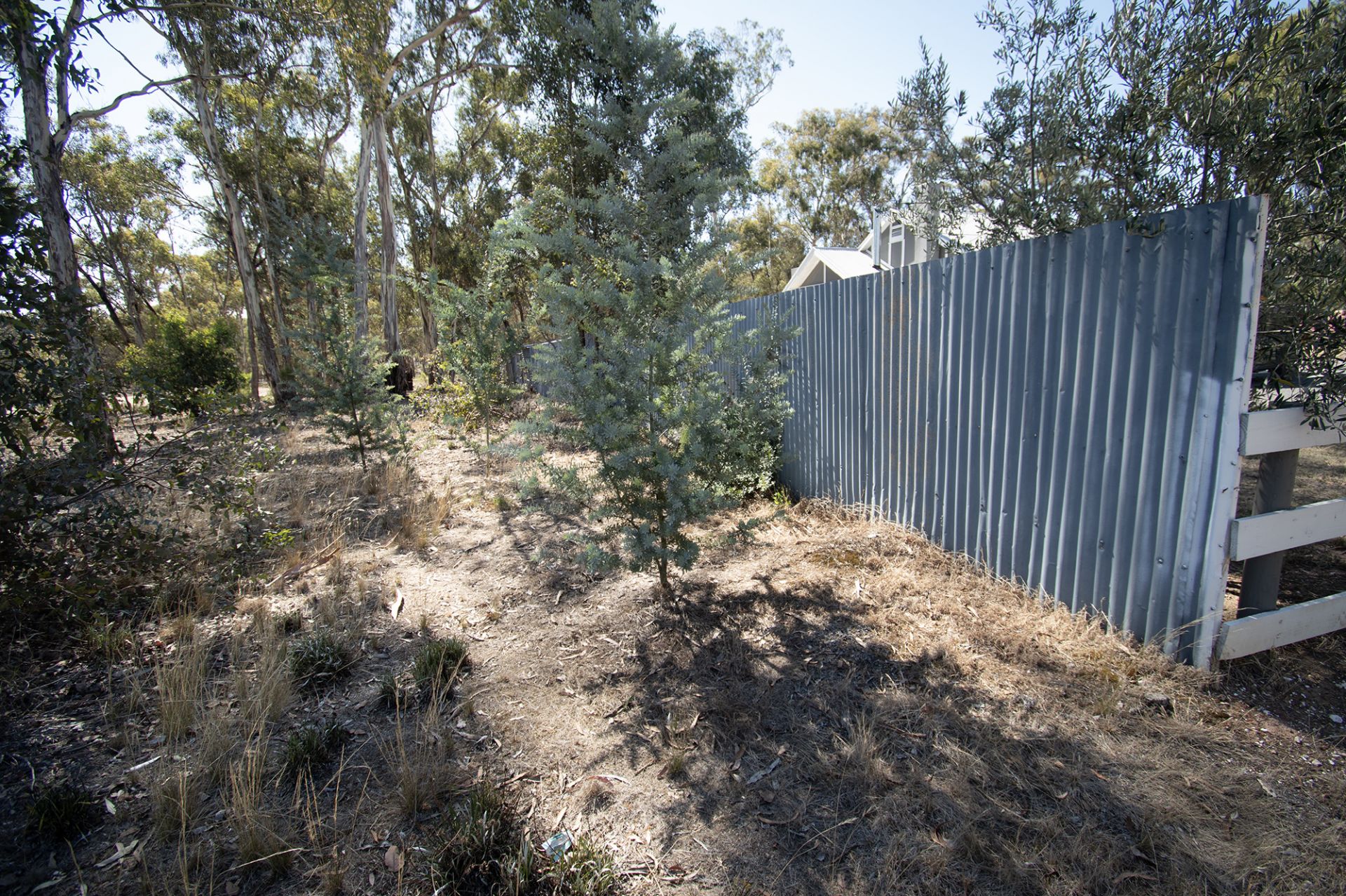 6 Elgin Street, Dunolly - Thumbnail 6