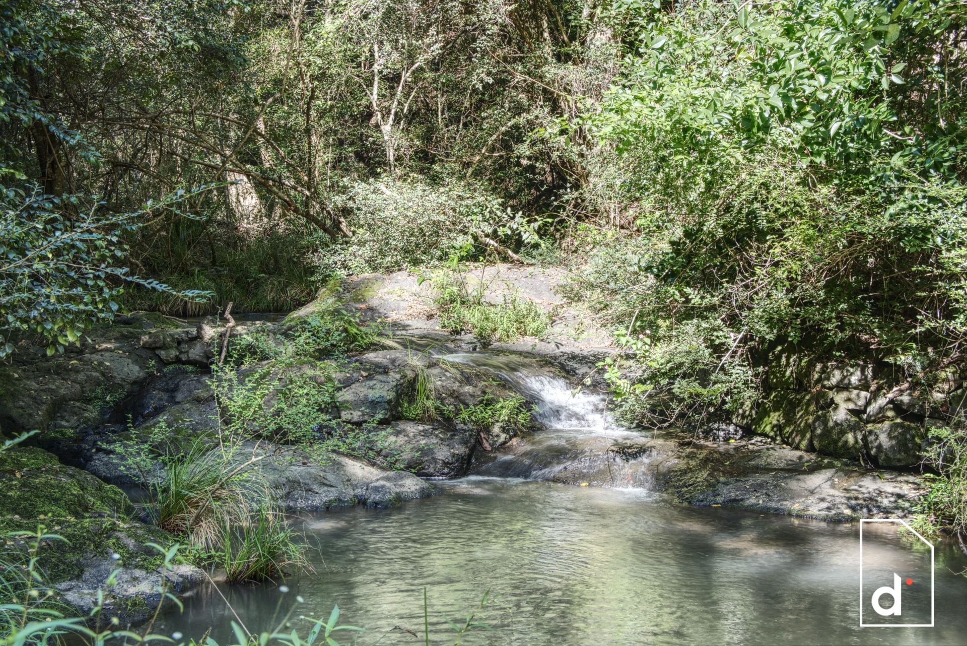 136 Wender Road, Collins Creek NSW