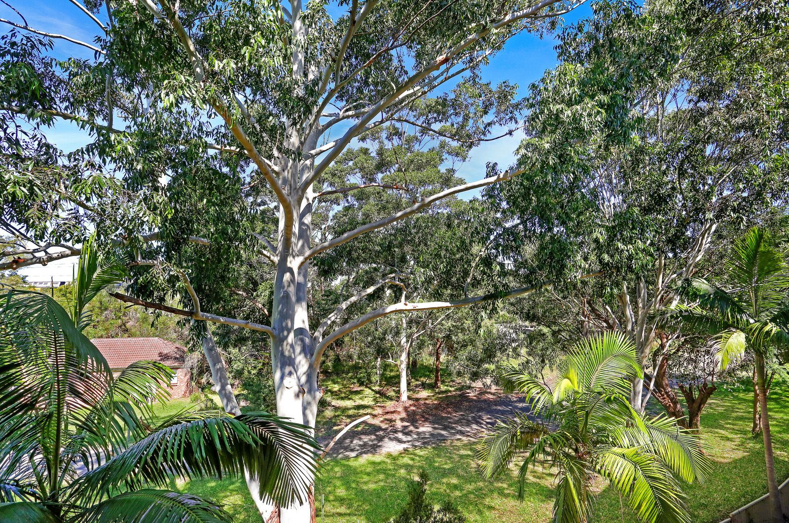 34/6-14 Park Street SUTHERLAND 2232