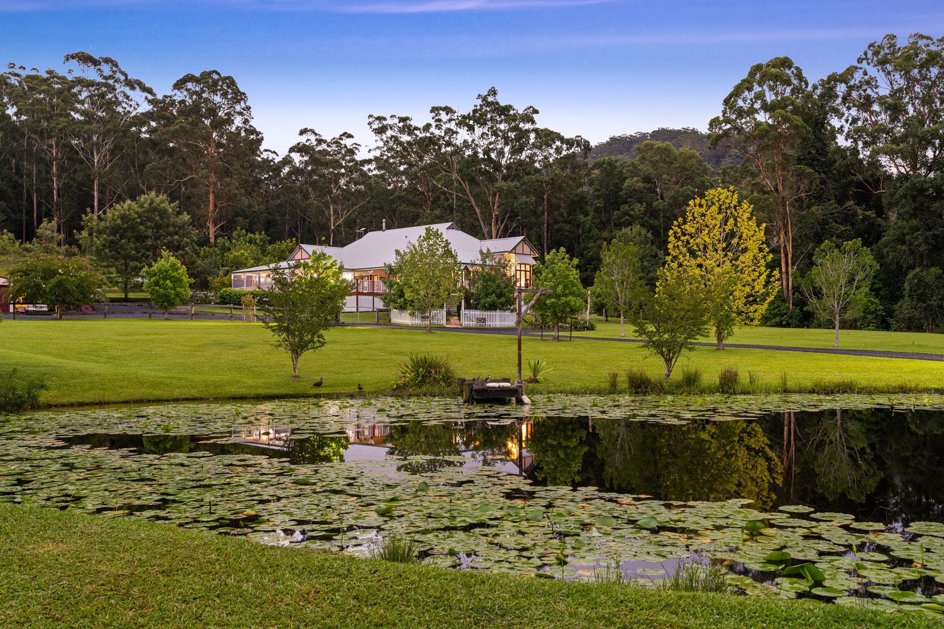 1780 Dooralong Road, Lemon Tree, Lemon Tree - Thumbnail 2