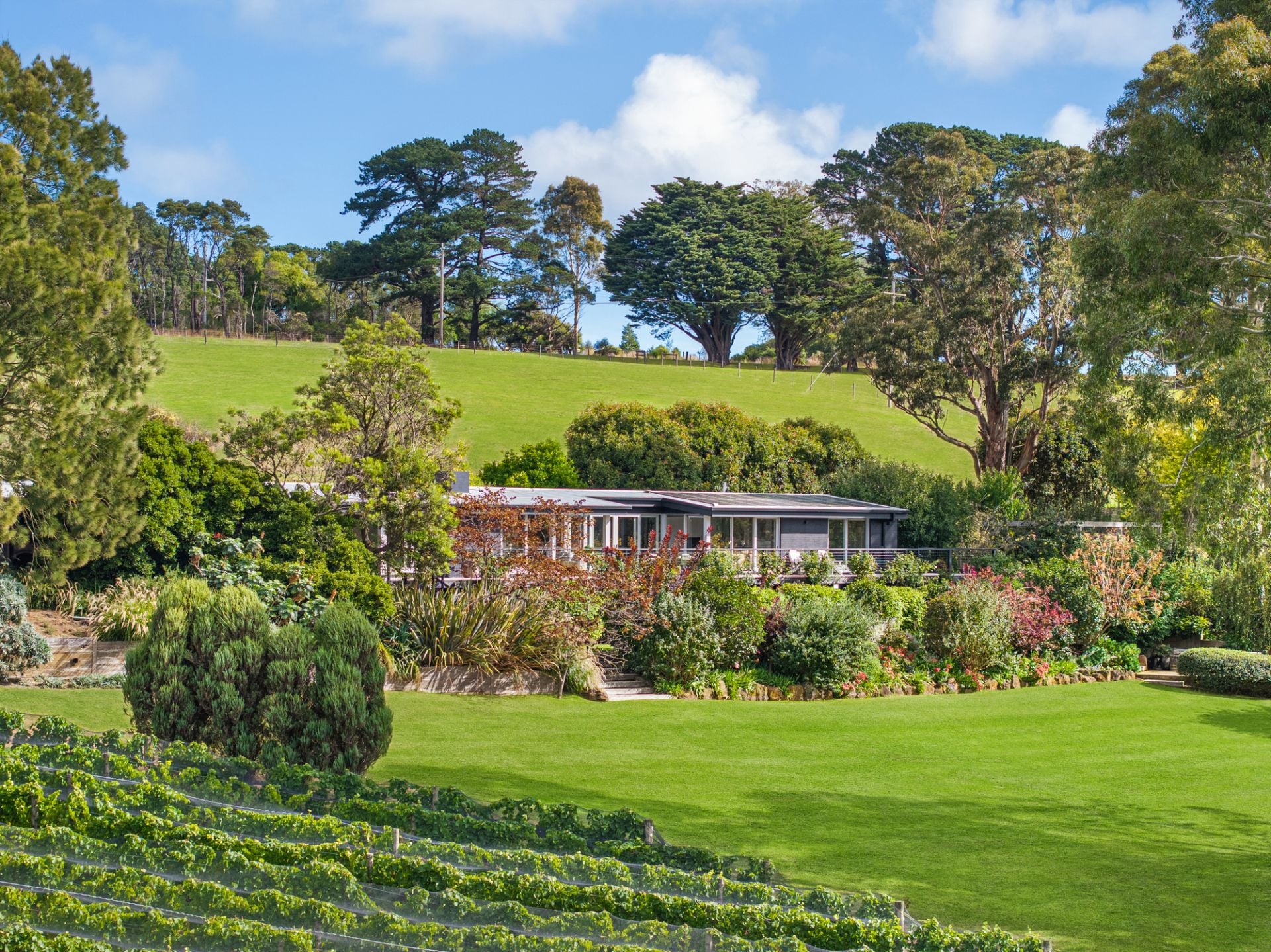 72 Baldrys Road, Main Ridge, Main Ridge - Image 1