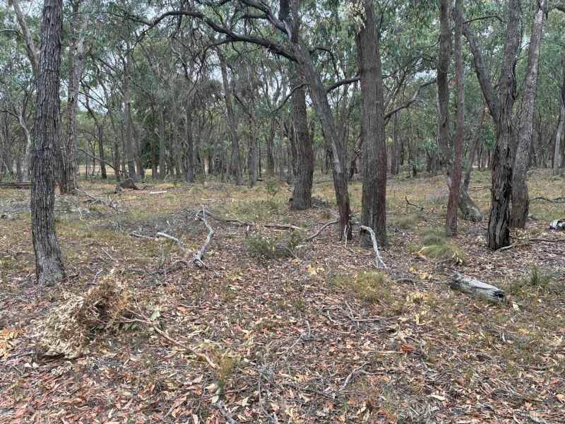 1 Grampians View Road, Beaufort, Beaufort - Thumbnail 3