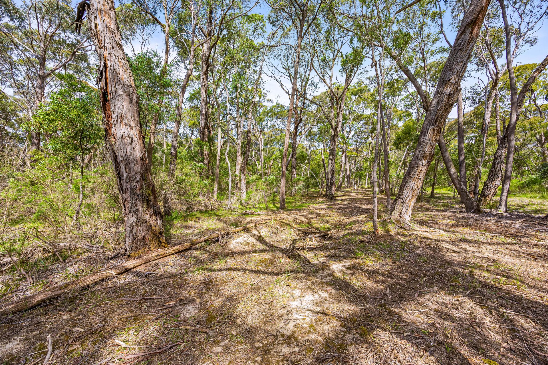 3/ Victoria Road Scarsdale VIC, Scarsdale - Thumbnail 6