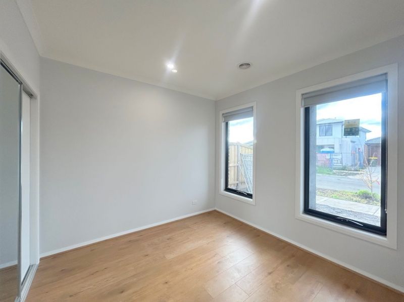 11 Cardigan Street, Donnybrook