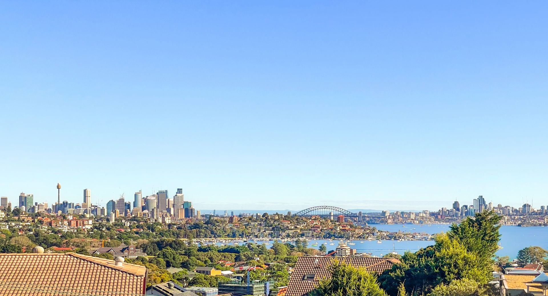 95 Hardy Street, Dover Heights, Dover Heights - Thumbnail 2