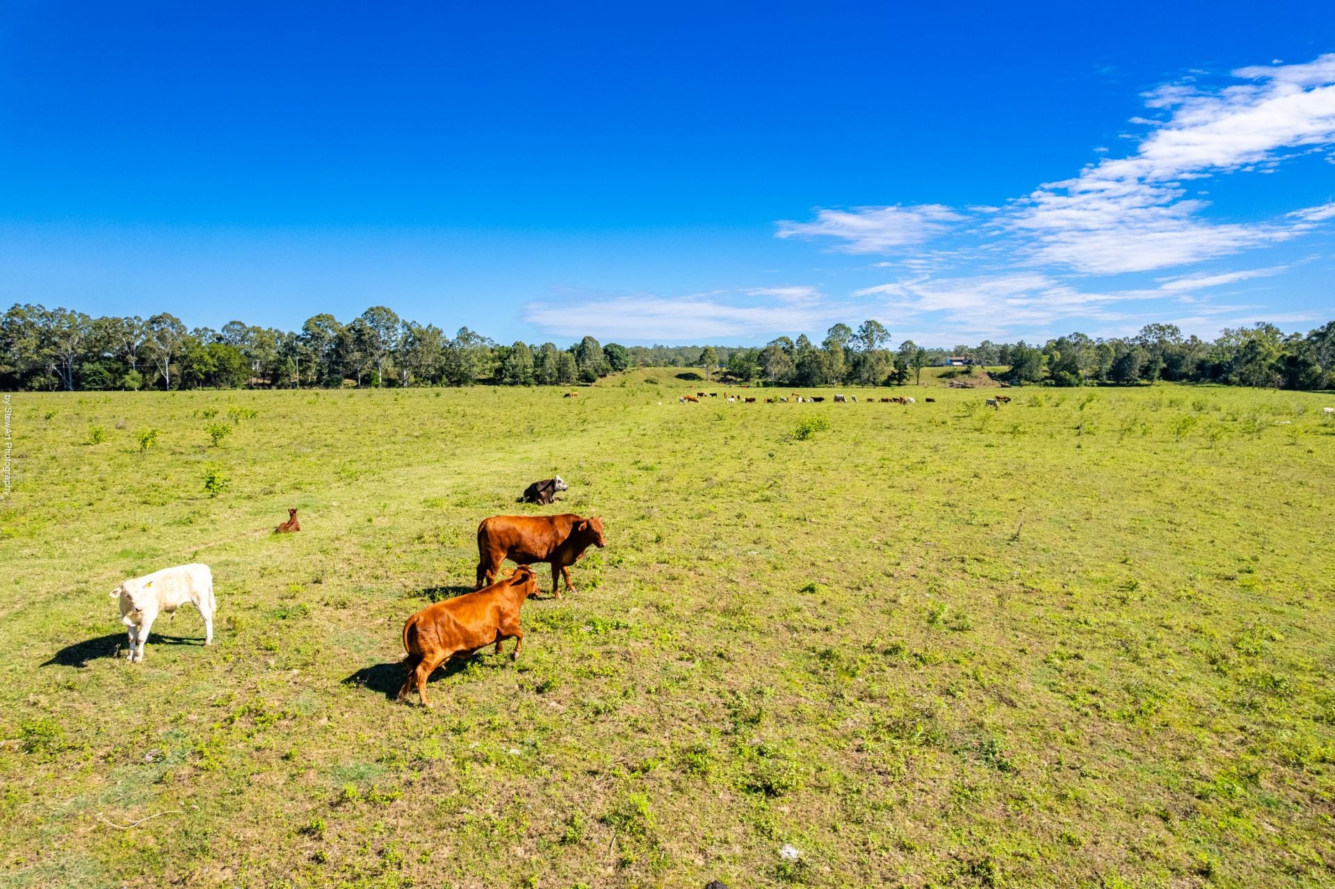 2331 Mungar Road, Tiaro, Tiaro - Thumbnail 6