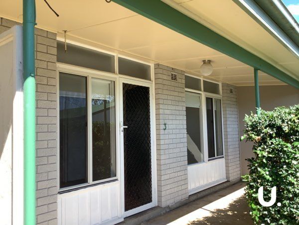 South Windsor 3/457 George Street