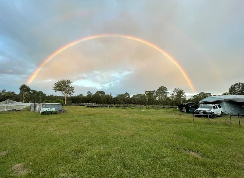 197 Stephan Road, Goomboorian For Sale by Farmbuy.com - image 32