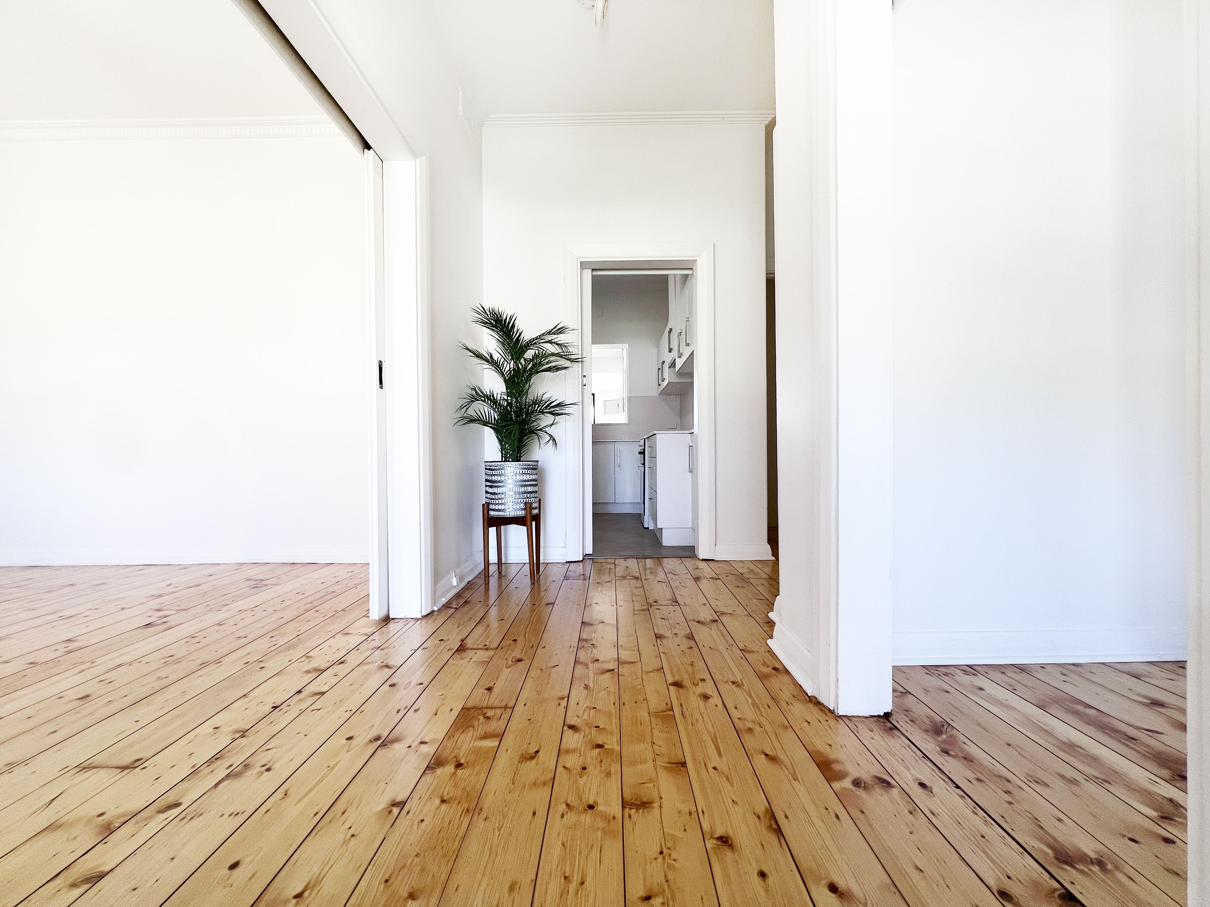 47 Murray Street, Albert Park SA 5014