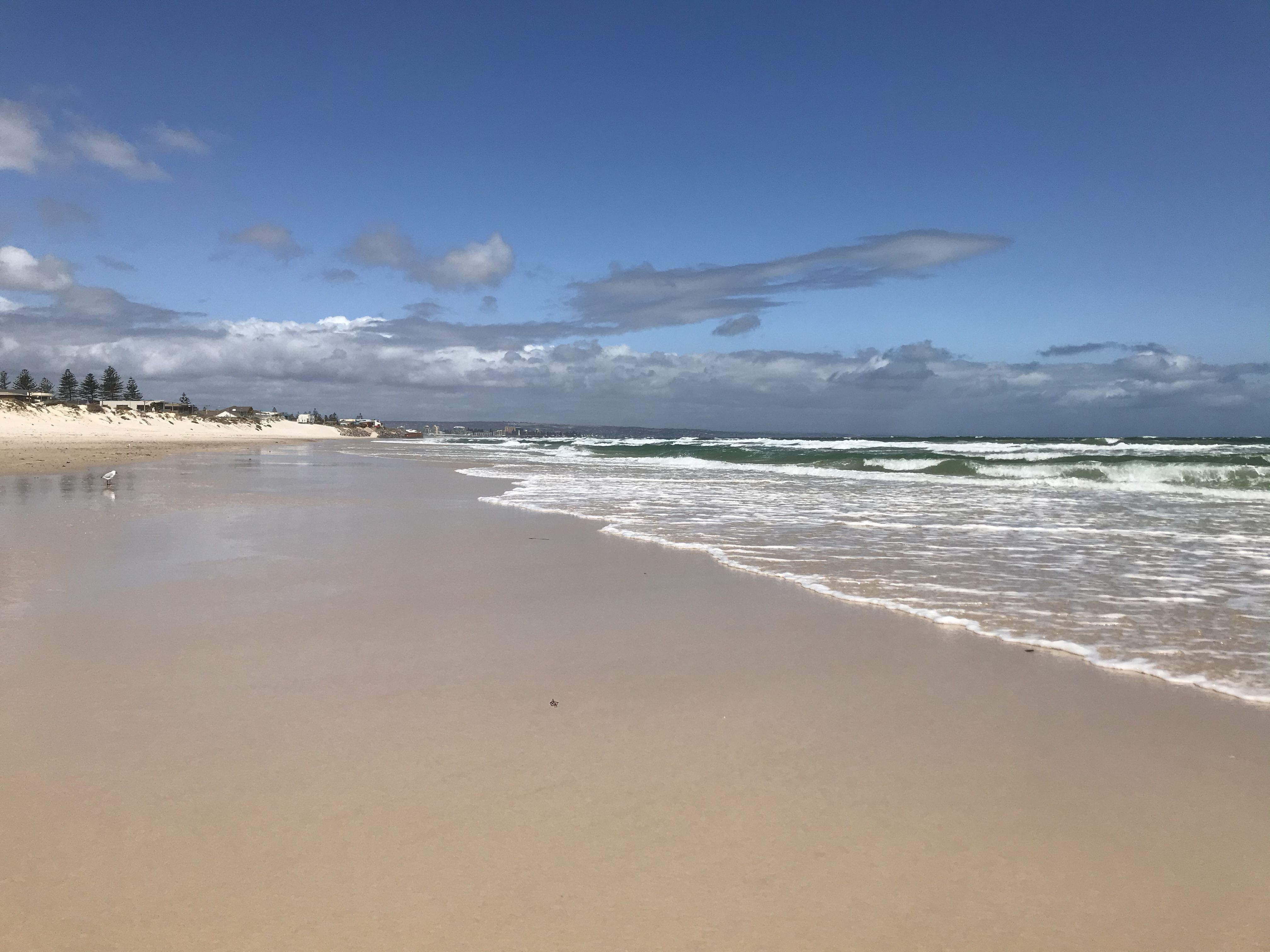 2/100 Seaview Road, West Beach SA 5024