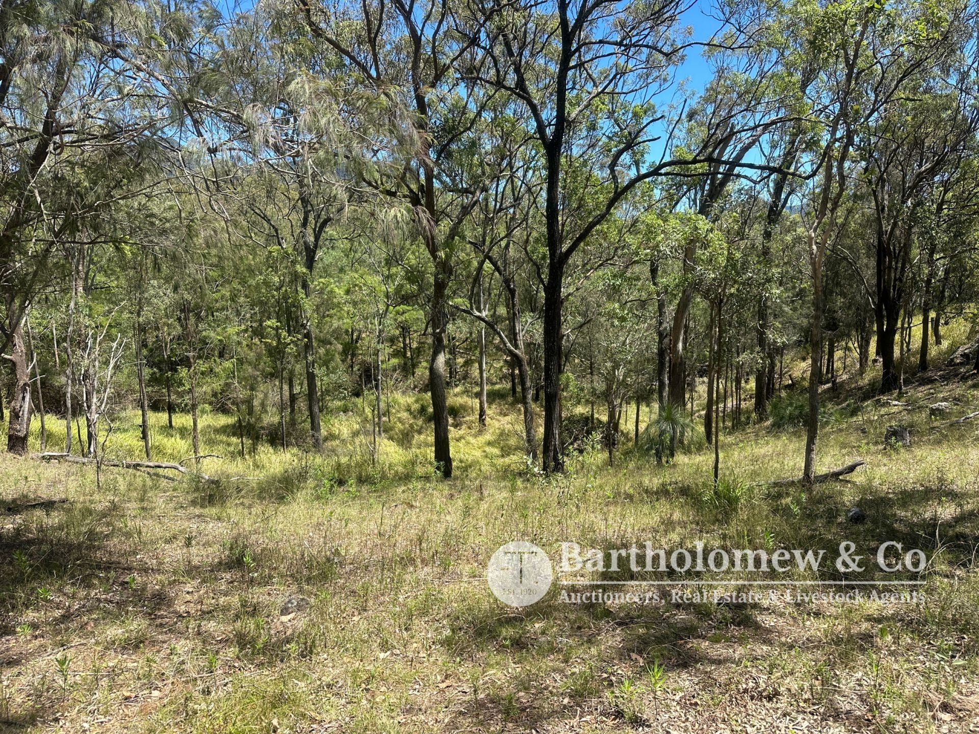 355/ Cunningham Highway Tarome QLD, Tarome - Thumbnail 4