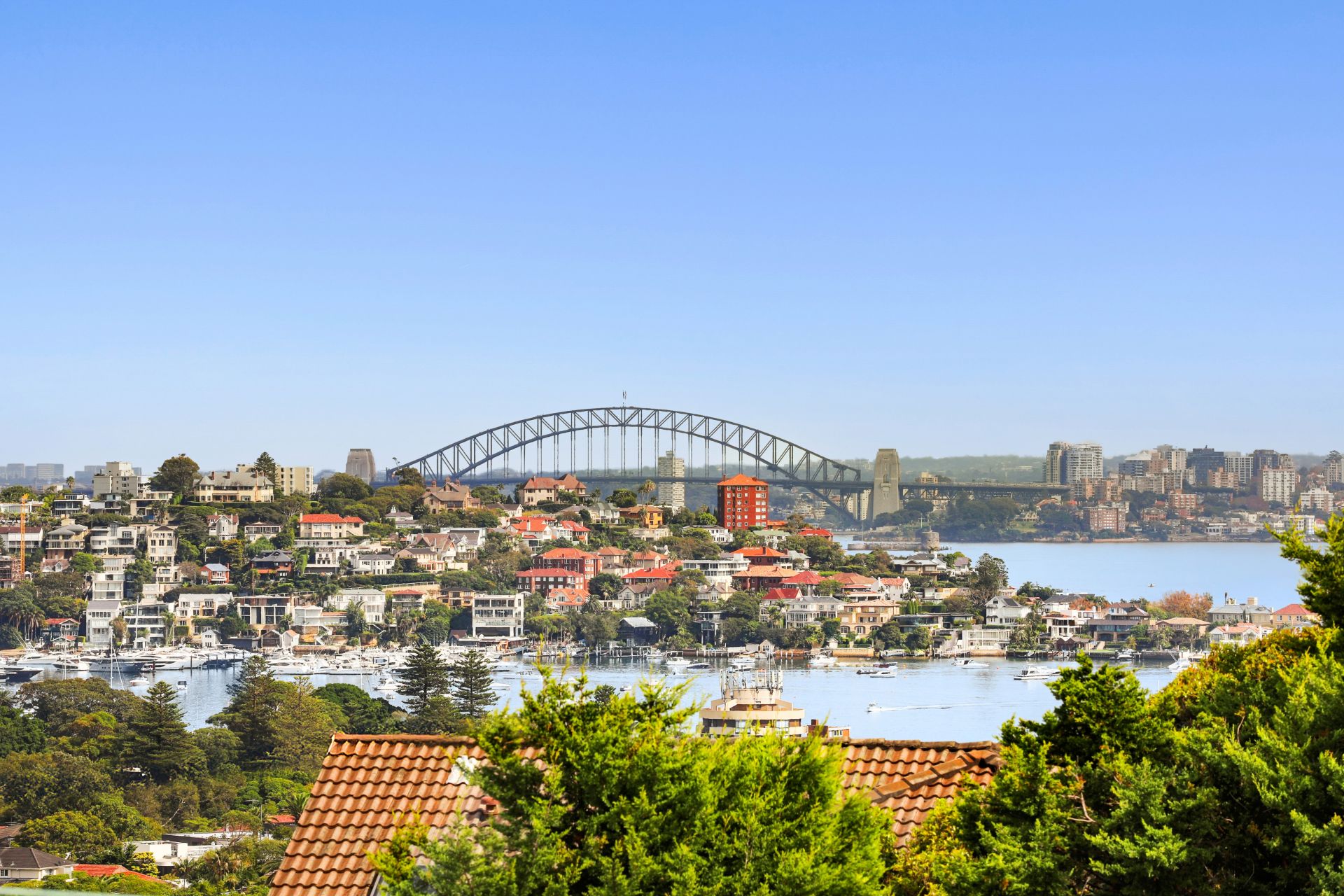 95 Hardy Street, Dover Heights, Dover Heights - Thumbnail 4