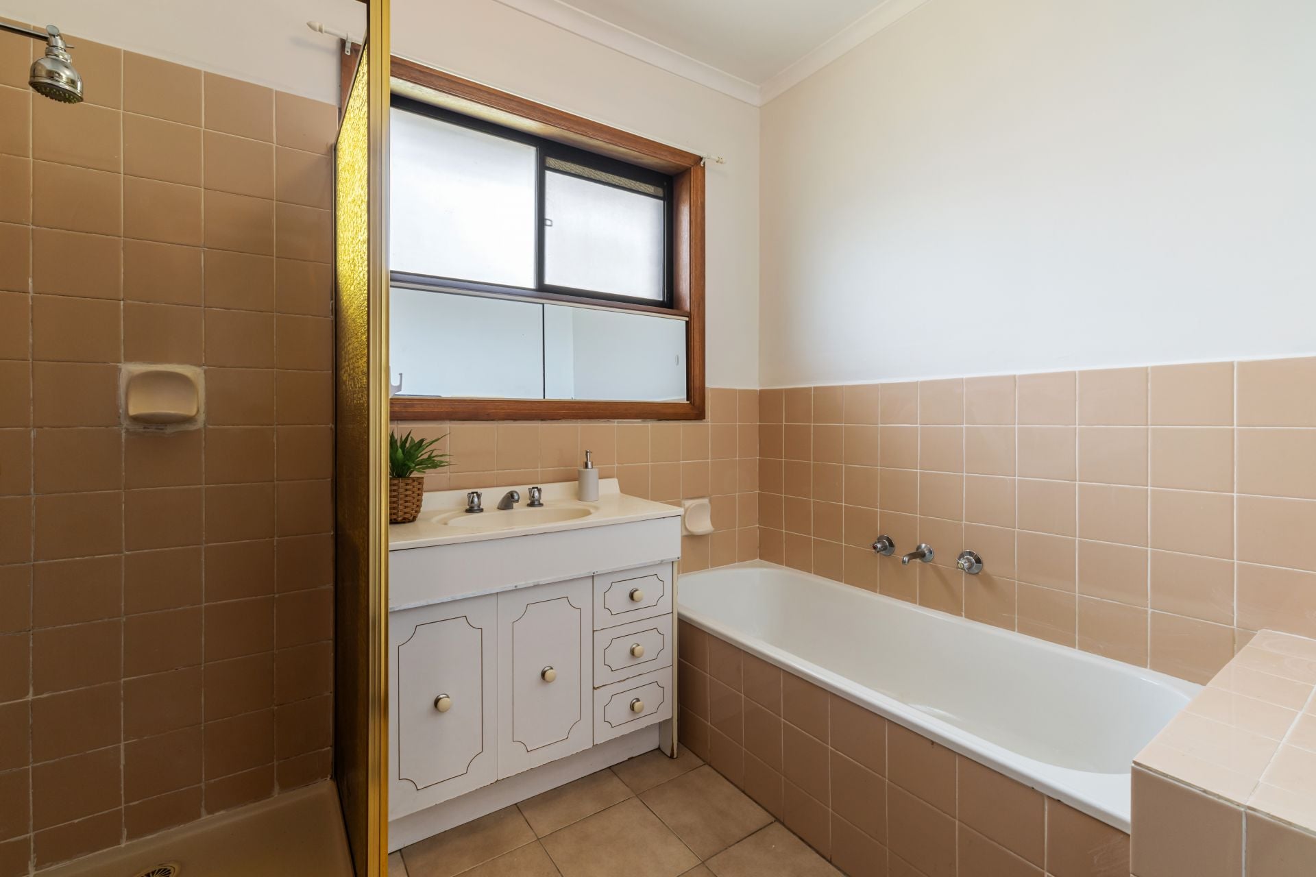 A Mid Century Dream