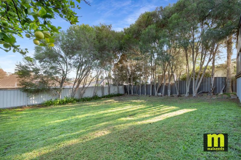 67 Crouch North Street Mount Gambier SA, Mount Gambier - Image 1