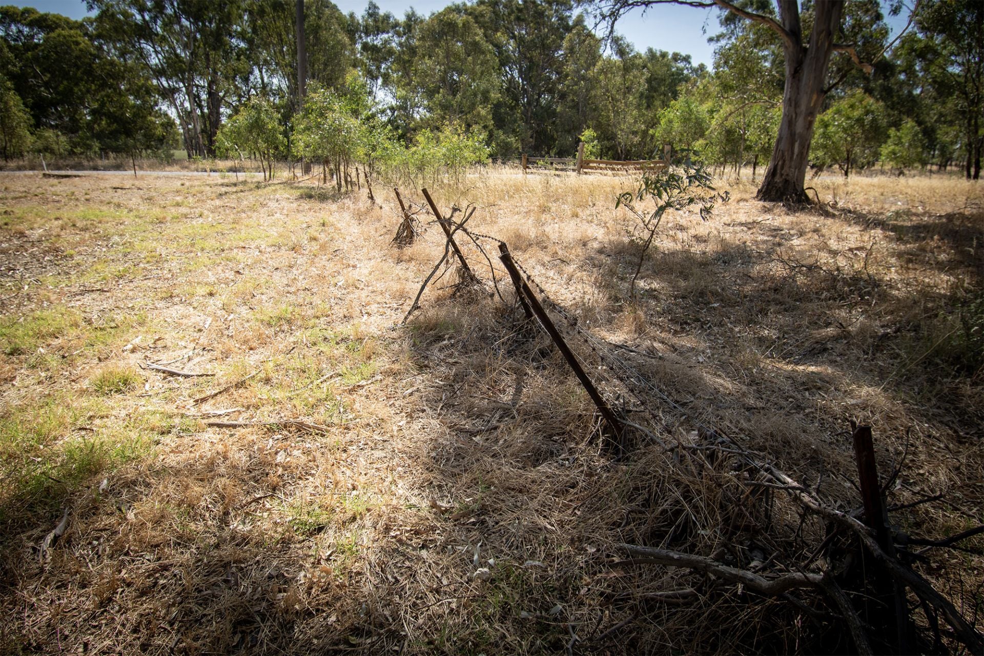 1207 Dunolly- Timor Road, Timor - Thumbnail 5