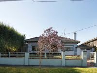 3 Harris Avenue, Glen Iris, Glen Iris - Thumbnail 2