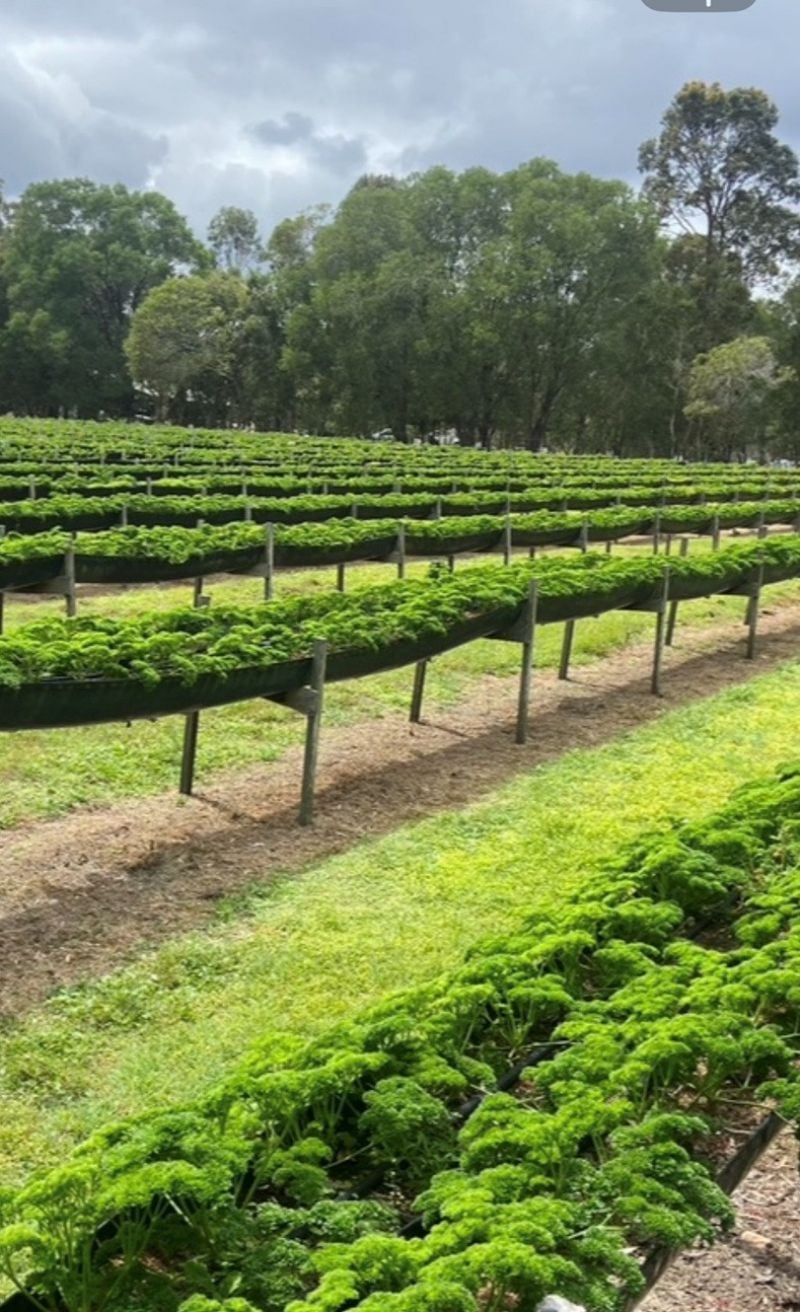 197 Stephan Road, Goomboorian For Sale by Farmbuy.com - image 21
