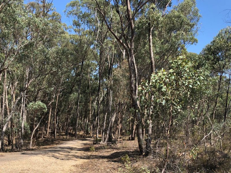 Lot 3/ Derby Road, Maryborough VIC 3465