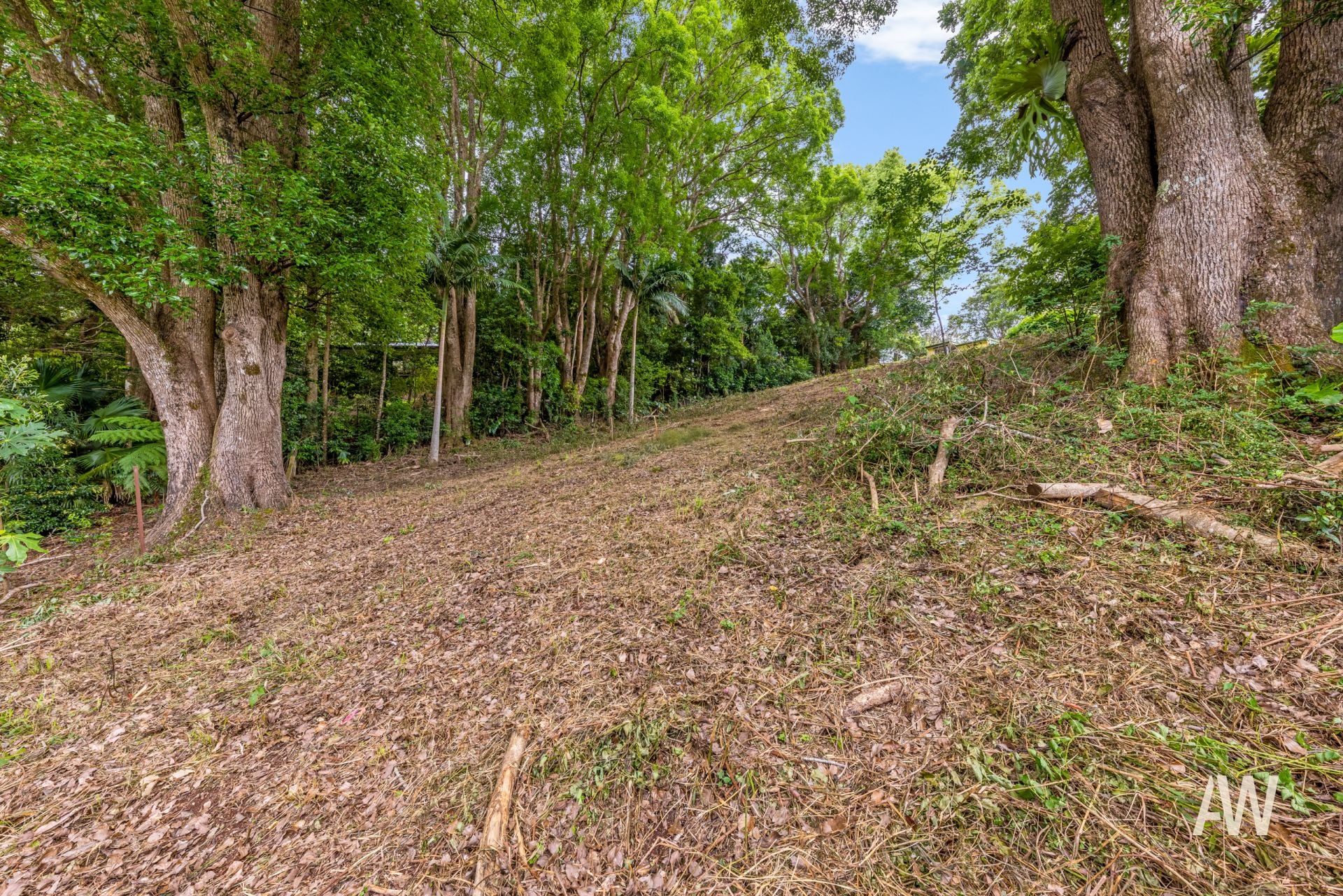 164 Main Street, Montville, Montville - Image 1