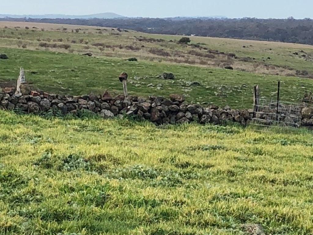 Lot 29/ Mt Greenoch Road, Red Lion VIC 3371