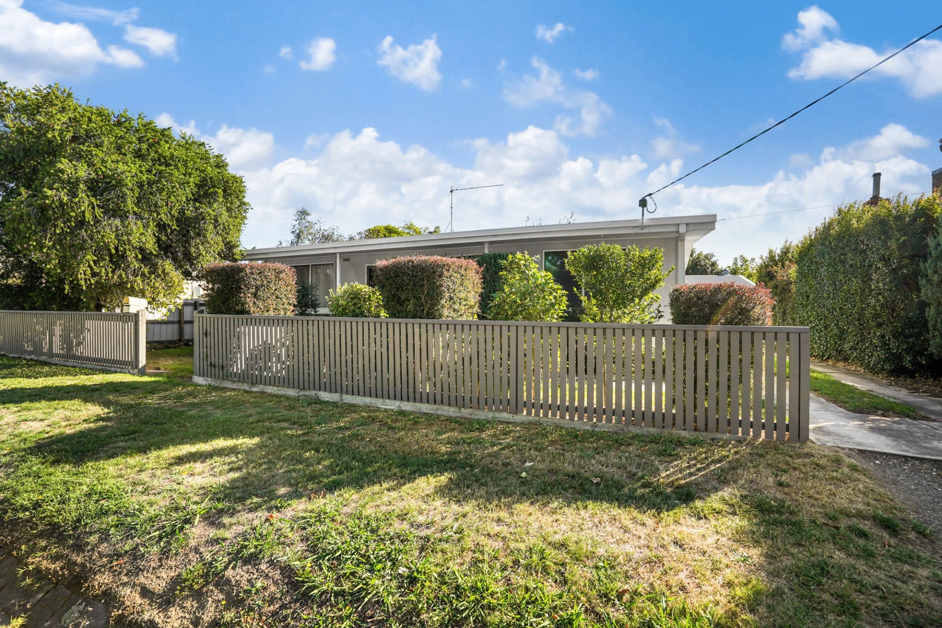 104 Larter Street Golden Point VIC, Golden Point - Thumbnail 2