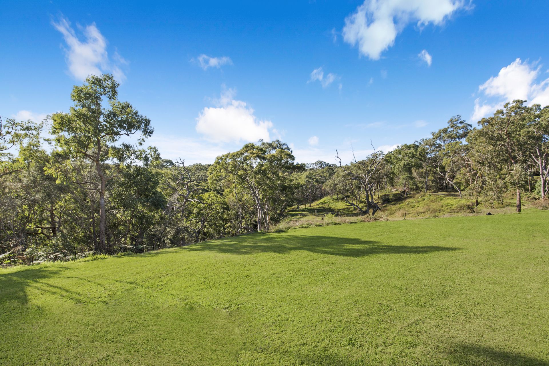 95 Cranstons Road Middle Dural NSW, Middle Dural - Thumbnail 4