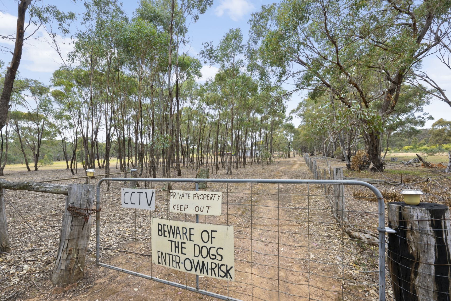 767 Maryborough Dunolly Road, Havelock - Thumbnail 3