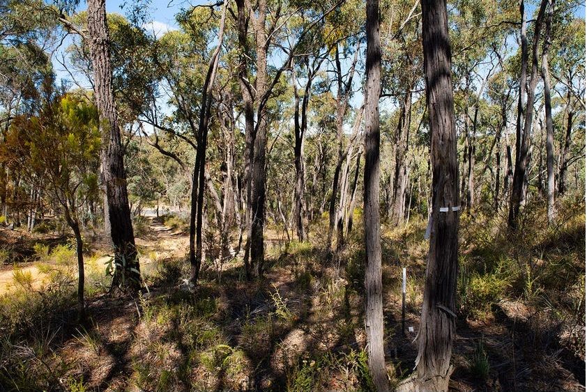 C/A 6/ Vaughan-Chewton Road, Chewton VIC 3451
