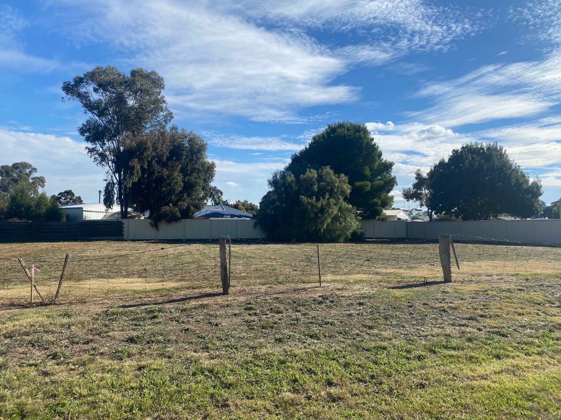 25 Birch Street, Carisbrook - Thumbnail 5