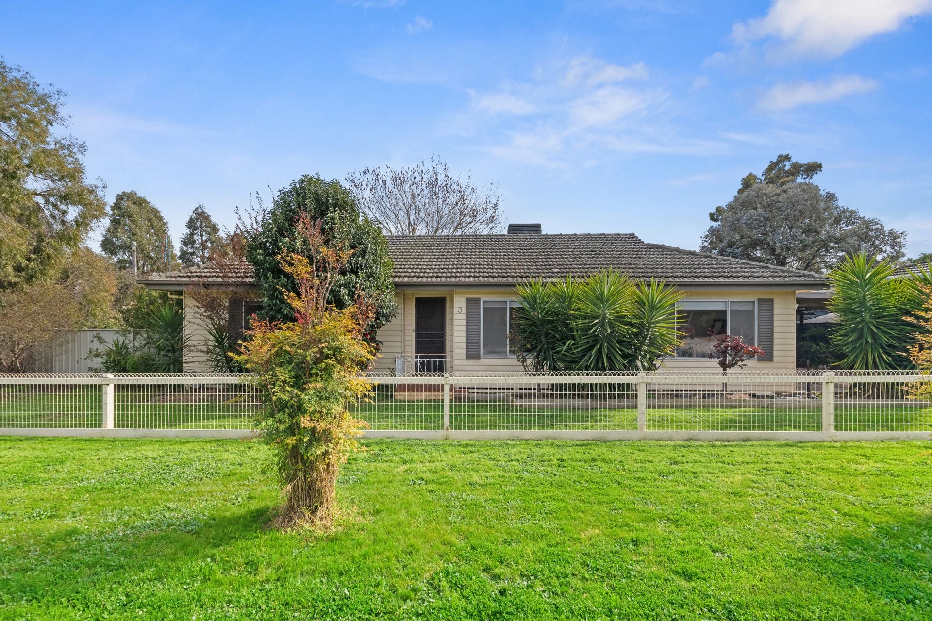 3 Brown Street, Long Gully, Long Gully, Long Gully - Thumbnail 2