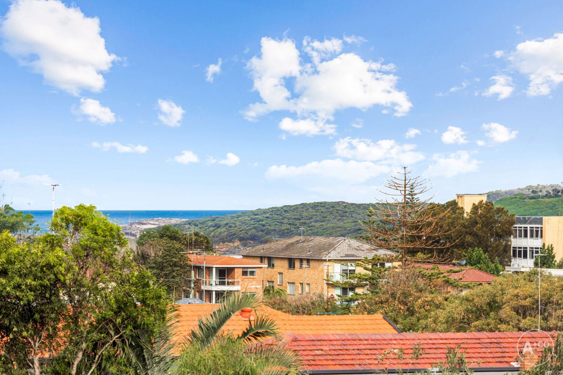 3/4 Second Avenue, Maroubra, Maroubra - Thumbnail 4