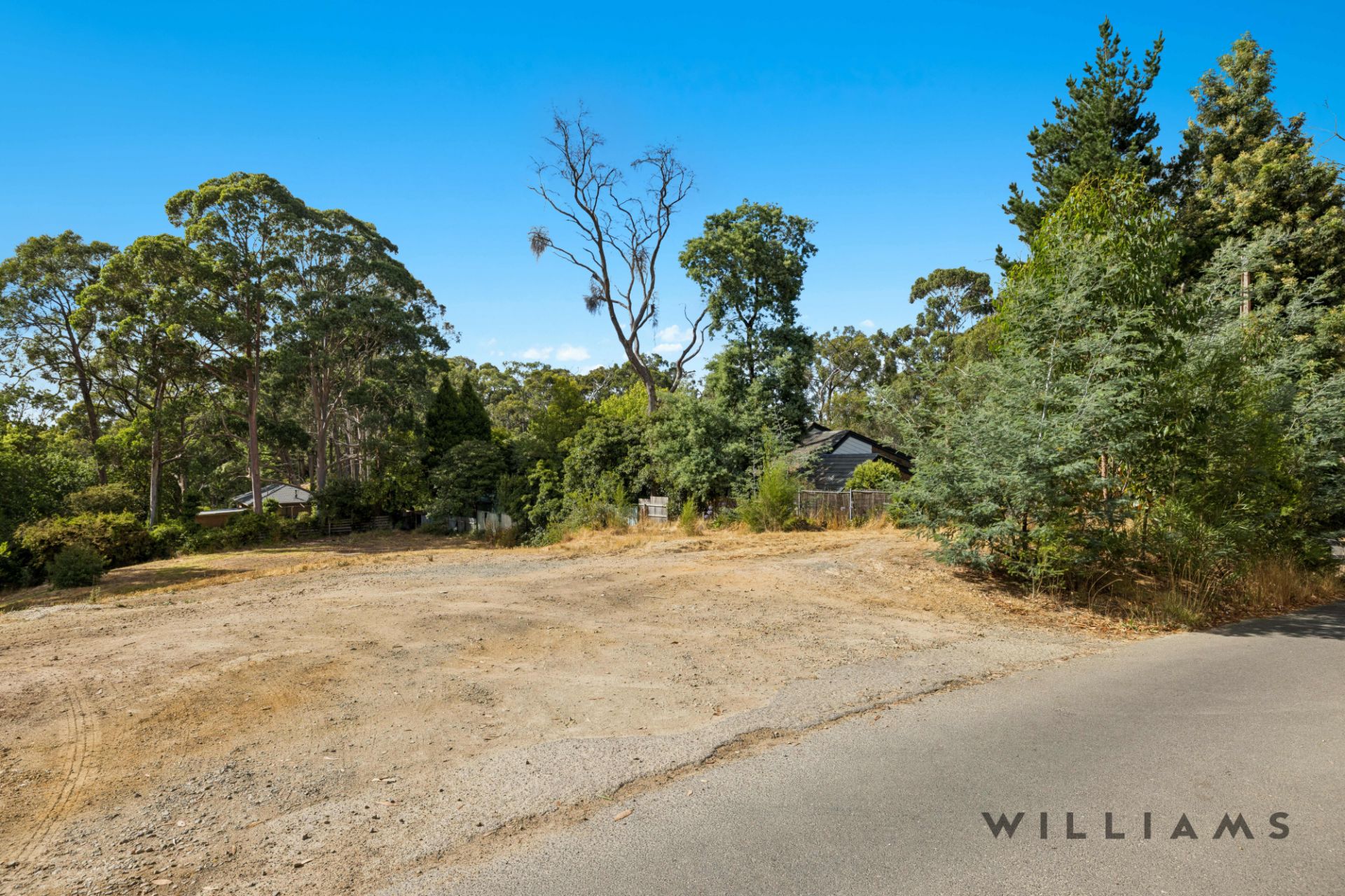 53 Mabel Street Stirling SA, Stirling - Thumbnail 7