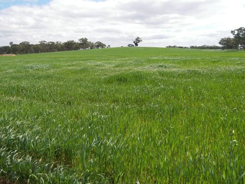 39/ Elmore-Raywood Road Kamarooka VIC, Kamarooka - Thumbnail 3